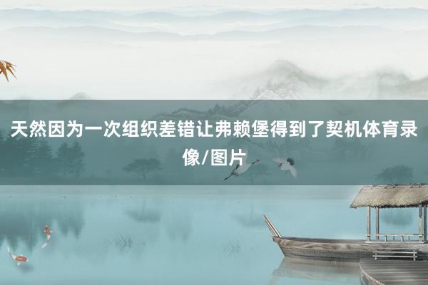 天然因为一次组织差错让弗赖堡得到了契机体育录像/图片
