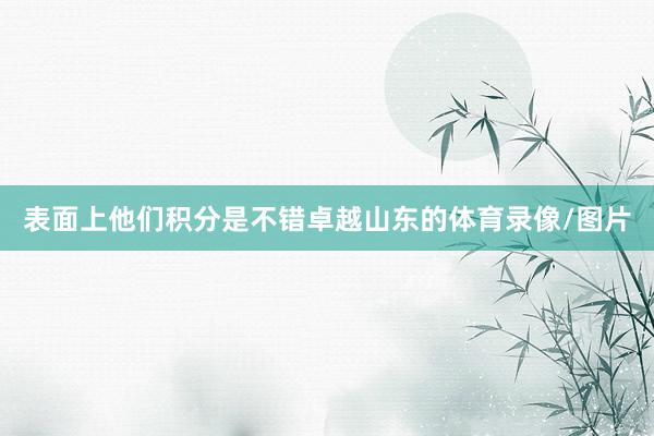 表面上他们积分是不错卓越山东的体育录像/图片