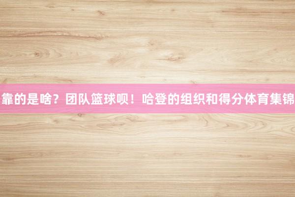 靠的是啥?团队篮球呗!哈登的组织和得分体育集锦