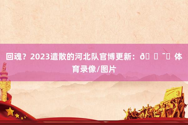 回魂？2023遣散的河北队官博更新：🕯️体育录像/图片