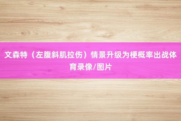 文森特（左腹斜肌拉伤）情景升级为梗概率出战体育录像/图片