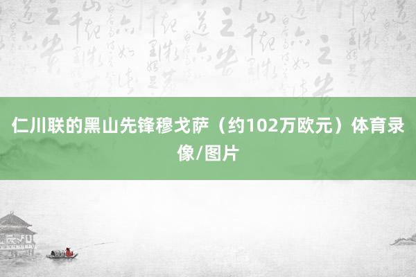 仁川联的黑山先锋穆戈萨(约102万欧元)体育录像/图片