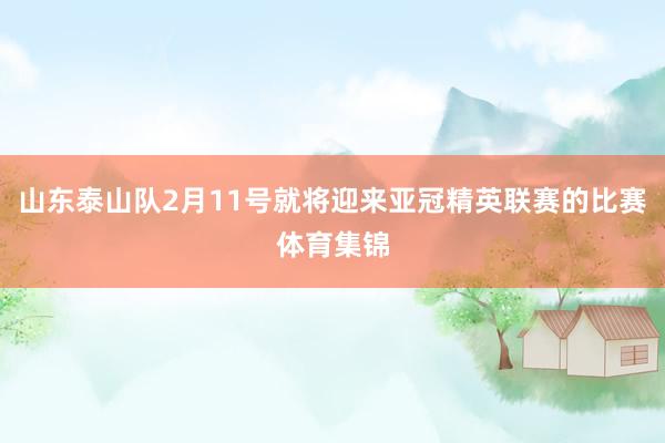 山东泰山队2月11号就将迎来亚冠精英联赛的比赛体育集锦