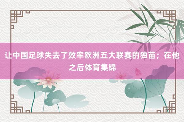 让中国足球失去了效率欧洲五大联赛的独苗;在他之后体育集锦