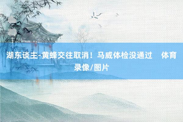 湖东谈主-黄蜂交往取消！马威体检没通过    体育录像/图片