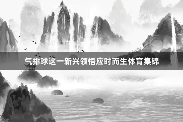 气排球这一新兴领悟应时而生体育集锦