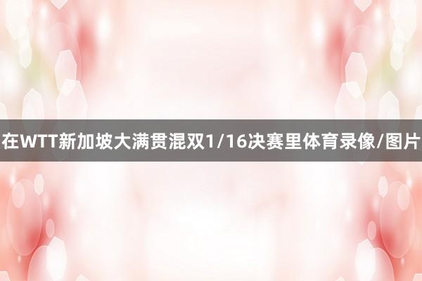 在WTT新加坡大满贯混双1/16决赛里体育录像/图片