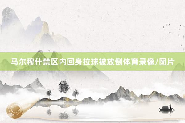 马尔穆什禁区内回身拉球被放倒体育录像/图片