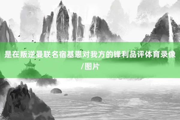 是在叛逆曼联名宿基恩对我方的锋利品评体育录像/图片