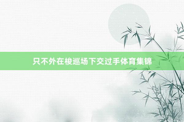 只不外在梭巡场下交过手体育集锦