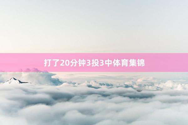 打了20分钟3投3中体育集锦