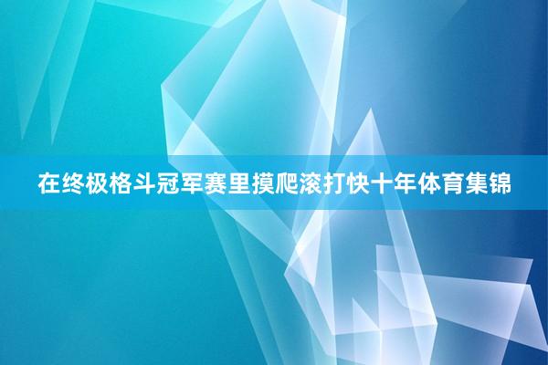在终极格斗冠军赛里摸爬滚打快十年体育集锦