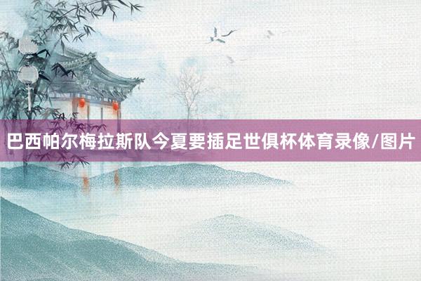 巴西帕尔梅拉斯队今夏要插足世俱杯体育录像/图片