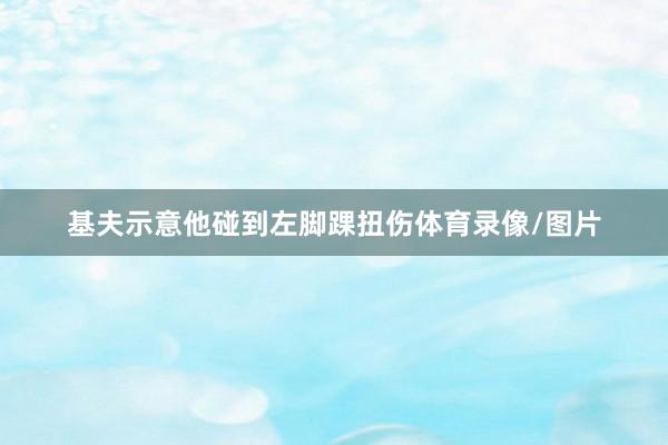 基夫示意他碰到左脚踝扭伤体育录像/图片