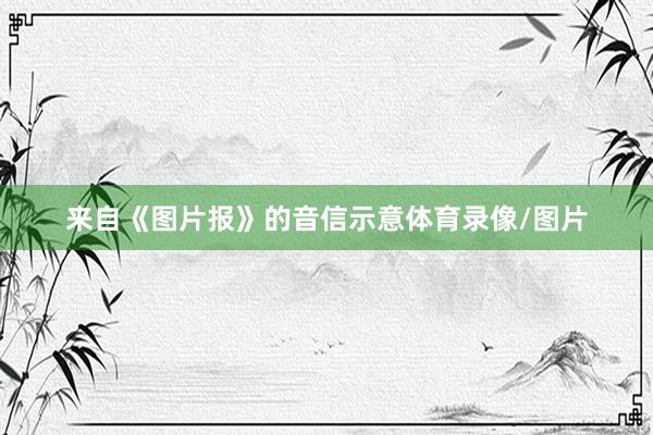来自《图片报》的音信示意体育录像/图片
