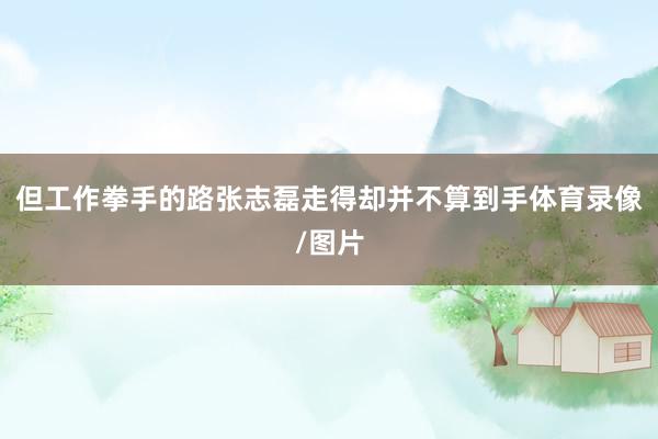 但工作拳手的路张志磊走得却并不算到手体育录像/图片