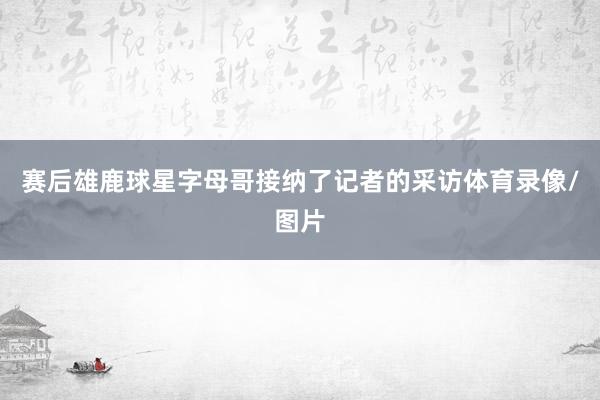 赛后雄鹿球星字母哥接纳了记者的采访体育录像/图片