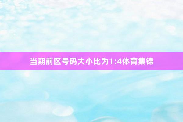 当期前区号码大小比为1:4体育集锦
