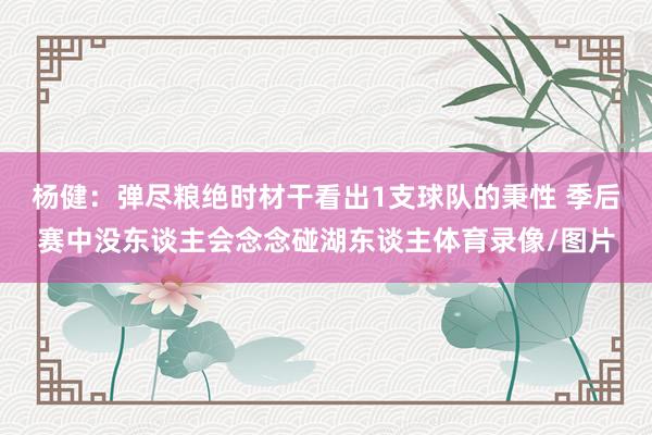 杨健：弹尽粮绝时材干看出1支球队的秉性 季后赛中没东谈主会念念碰湖东谈主体育录像/图片