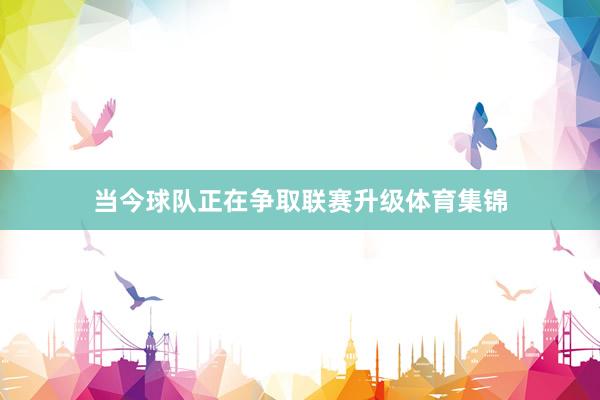 当今球队正在争取联赛升级体育集锦
