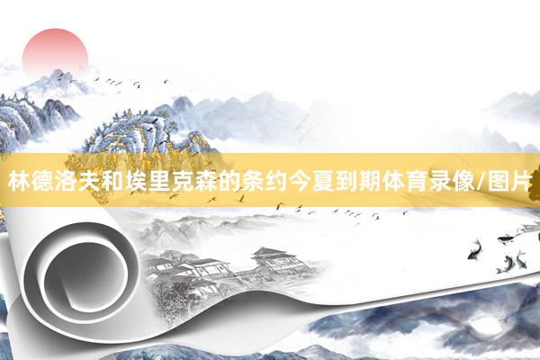 林德洛夫和埃里克森的条约今夏到期体育录像/图片