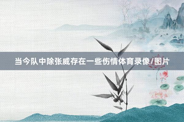 当今队中除张威存在一些伤情体育录像/图片
