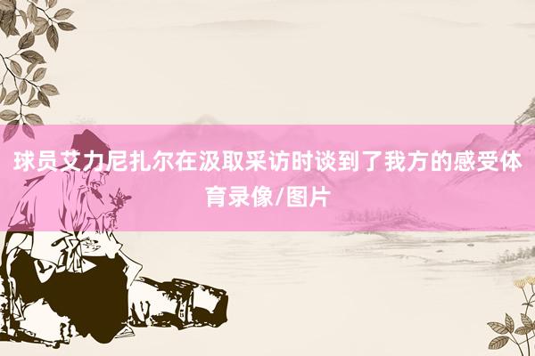 球员艾力尼扎尔在汲取采访时谈到了我方的感受体育录像/图片
