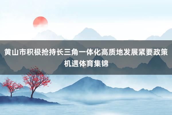 黄山市积极抢持长三角一体化高质地发展紧要政策机遇体育集锦