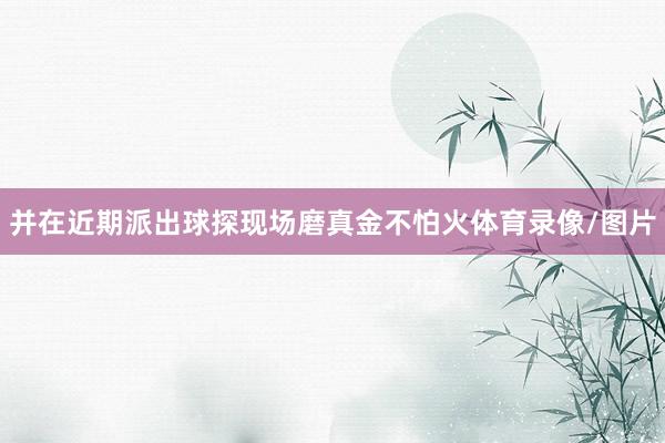 并在近期派出球探现场磨真金不怕火体育录像/图片