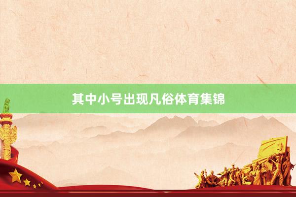 其中小号出现凡俗体育集锦
