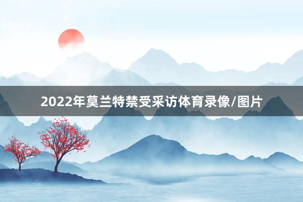 2022年莫兰特禁受采访体育录像/图片