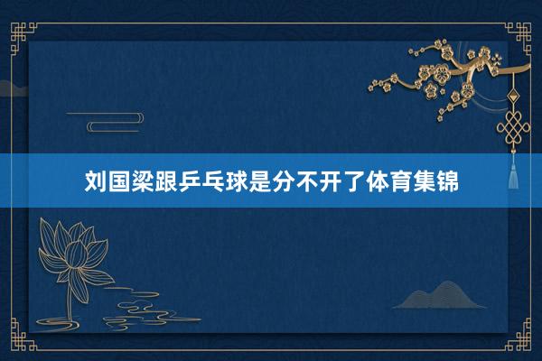刘国梁跟乒乓球是分不开了体育集锦