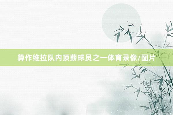 算作维拉队内顶薪球员之一体育录像/图片