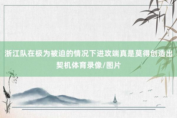 浙江队在极为被迫的情况下进攻端真是莫得创造出契机体育录像/图片