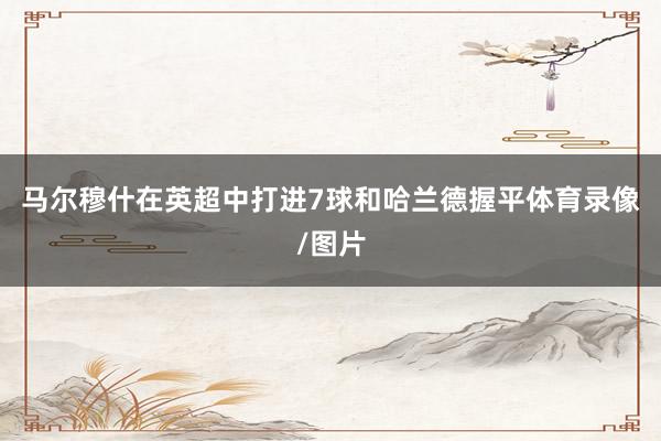 马尔穆什在英超中打进7球和哈兰德握平体育录像/图片