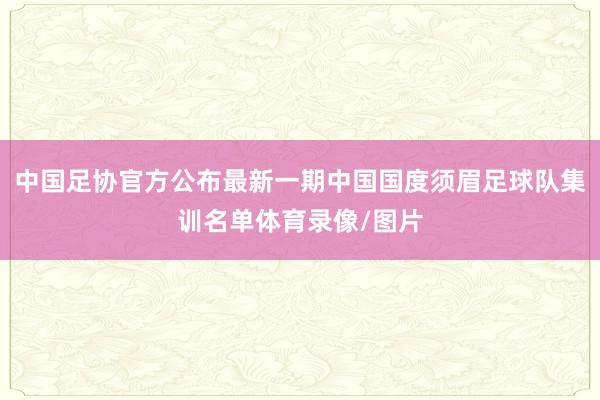 中国足协官方公布最新一期中国国度须眉足球队集训名单体育录像/图片