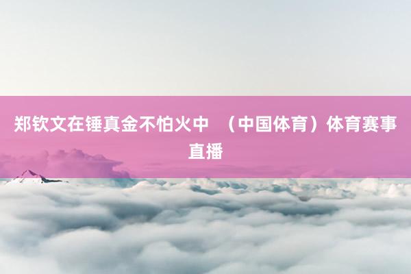郑钦文在锤真金不怕火中  （中国体育）体育赛事直播