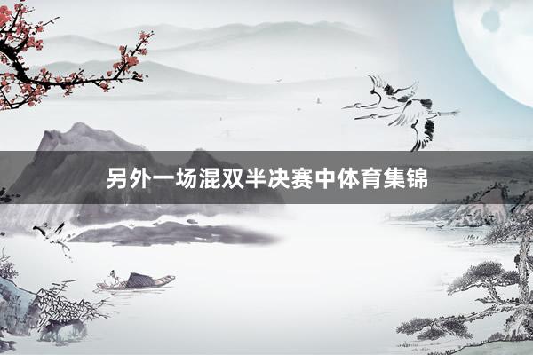 另外一场混双半决赛中体育集锦