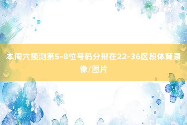 本周六预测第5-8位号码分辩在22-36区段体育录像/图片