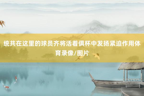 统共在这里的球员齐将活着俱杯中发扬紧迫作用体育录像/图片