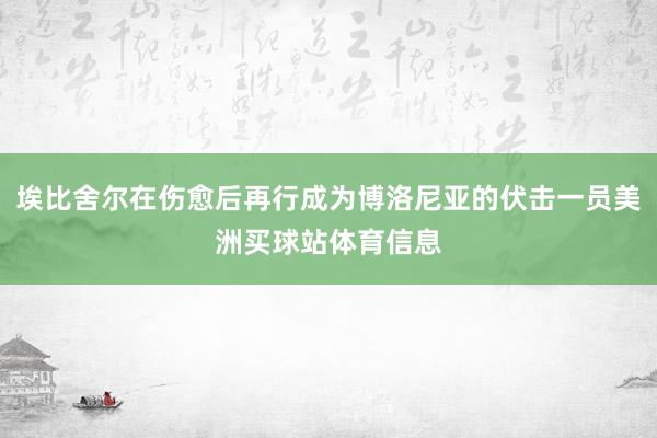 埃比舍尔在伤愈后再行成为博洛尼亚的伏击一员美洲买球站体育信息