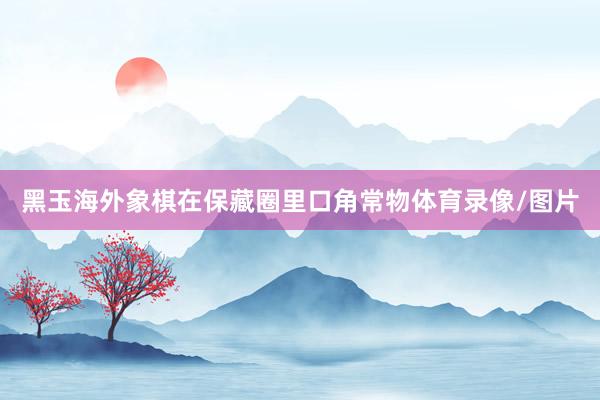 黑玉海外象棋在保藏圈里口角常物体育录像/图片