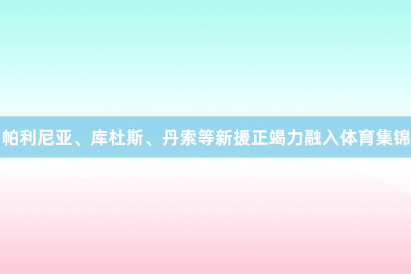 帕利尼亚、库杜斯、丹索等新援正竭力融入体育集锦