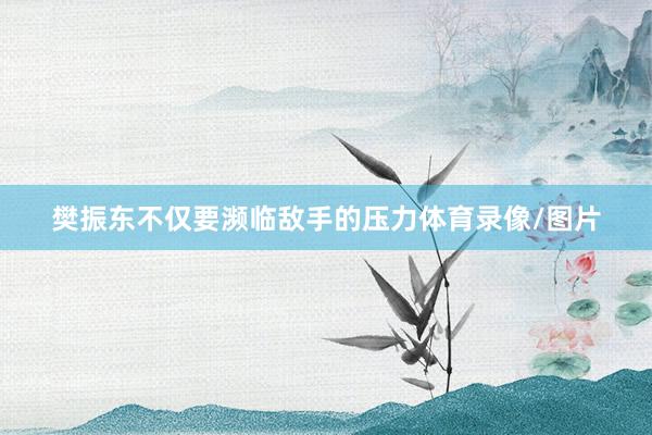 樊振东不仅要濒临敌手的压力体育录像/图片