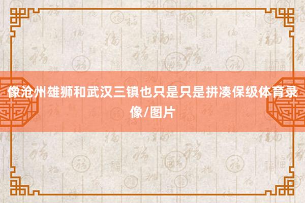 像沧州雄狮和武汉三镇也只是只是拼凑保级体育录像/图片
