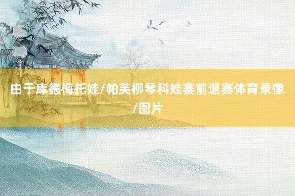 由于库德梅托娃/帕芙柳琴科娃赛前退赛体育录像/图片