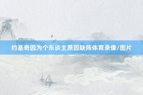 约基奇因为个东谈主原因缺阵体育录像/图片