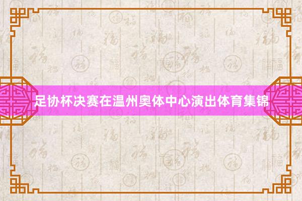 足协杯决赛在温州奥体中心演出体育集锦