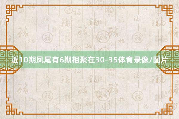 近10期凤尾有6期相聚在30-35体育录像/图片
