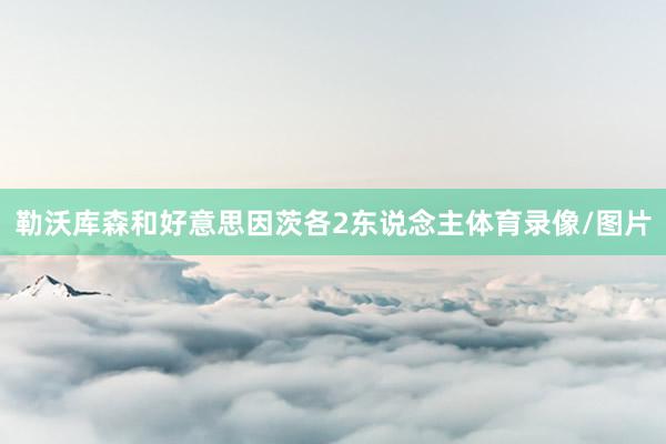 勒沃库森和好意思因茨各2东说念主体育录像/图片